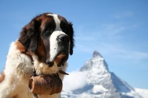 riccardo_zanon_soccorso_alpino